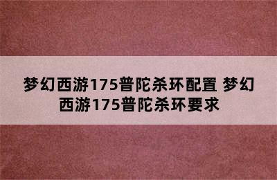 梦幻西游175普陀杀环配置 梦幻西游175普陀杀环要求